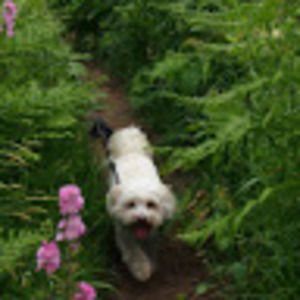 Meet your Posher, Torben